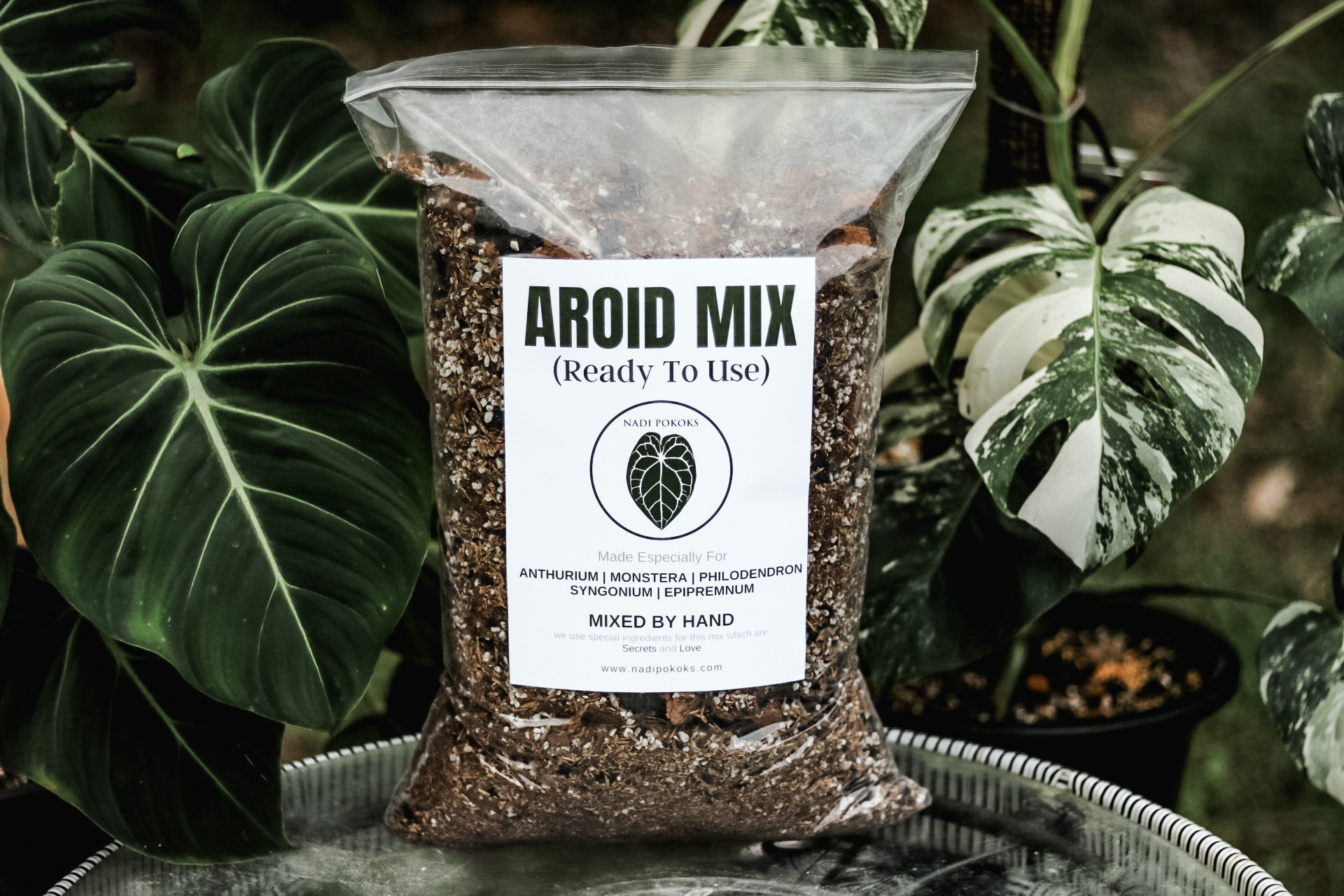 AROID MIX