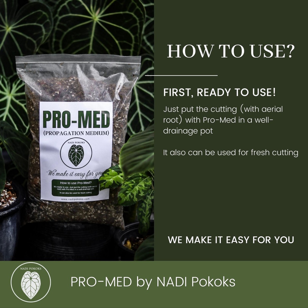 PRO- MED (Propagation Medium) - Image 3