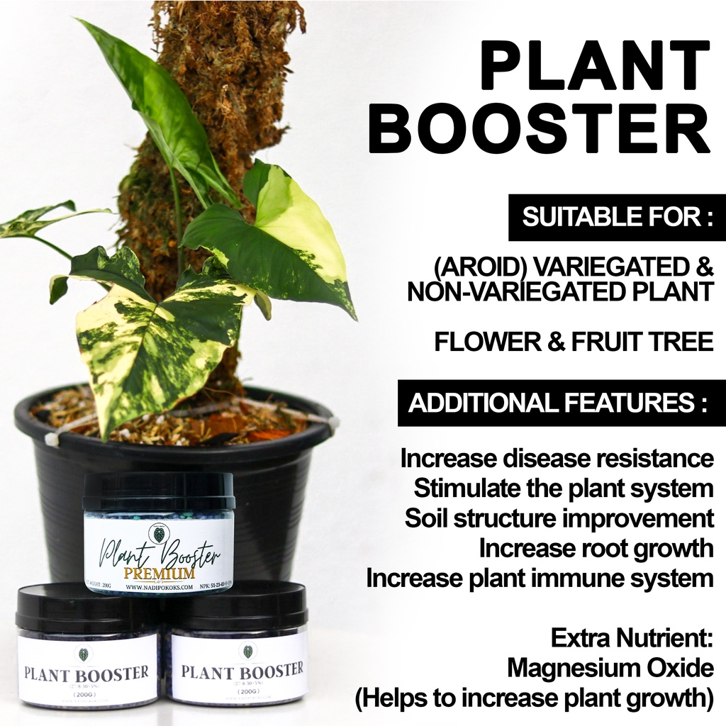 Plant Booster Premium - Image 3