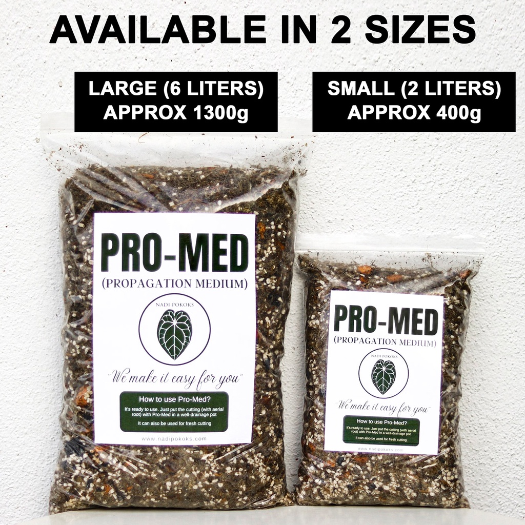 PRO- MED (Propagation Medium) - Image 5