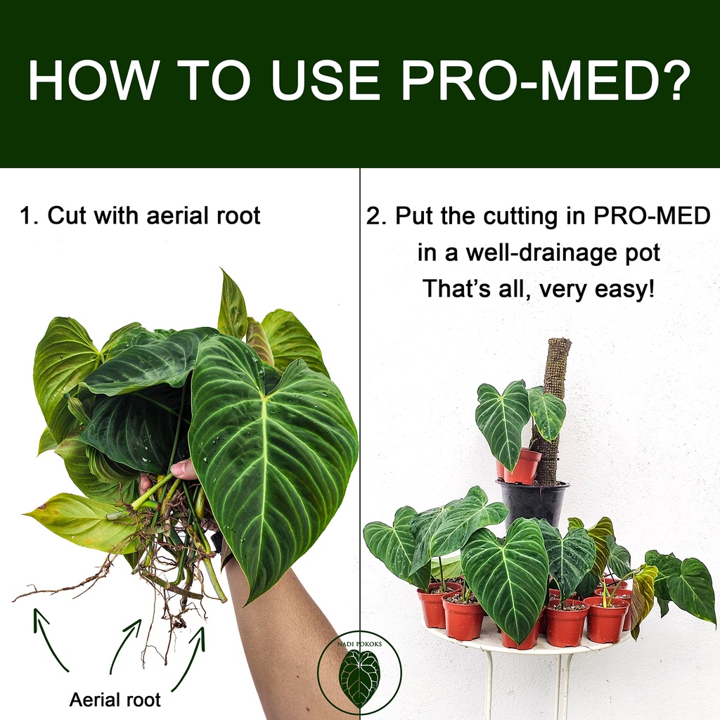 PRO- MED (Propagation Medium) - Image 4