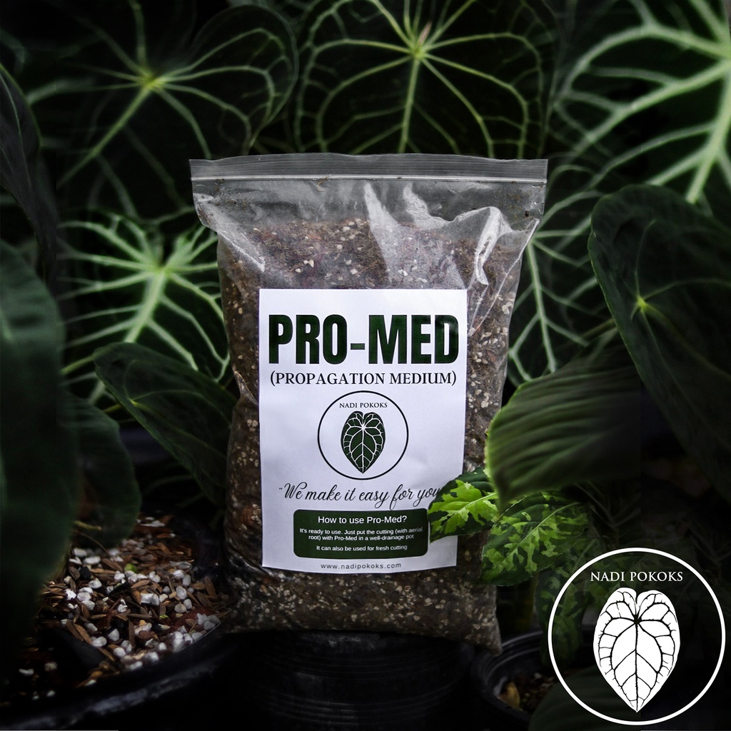 PRO- MED (Propagation Medium)