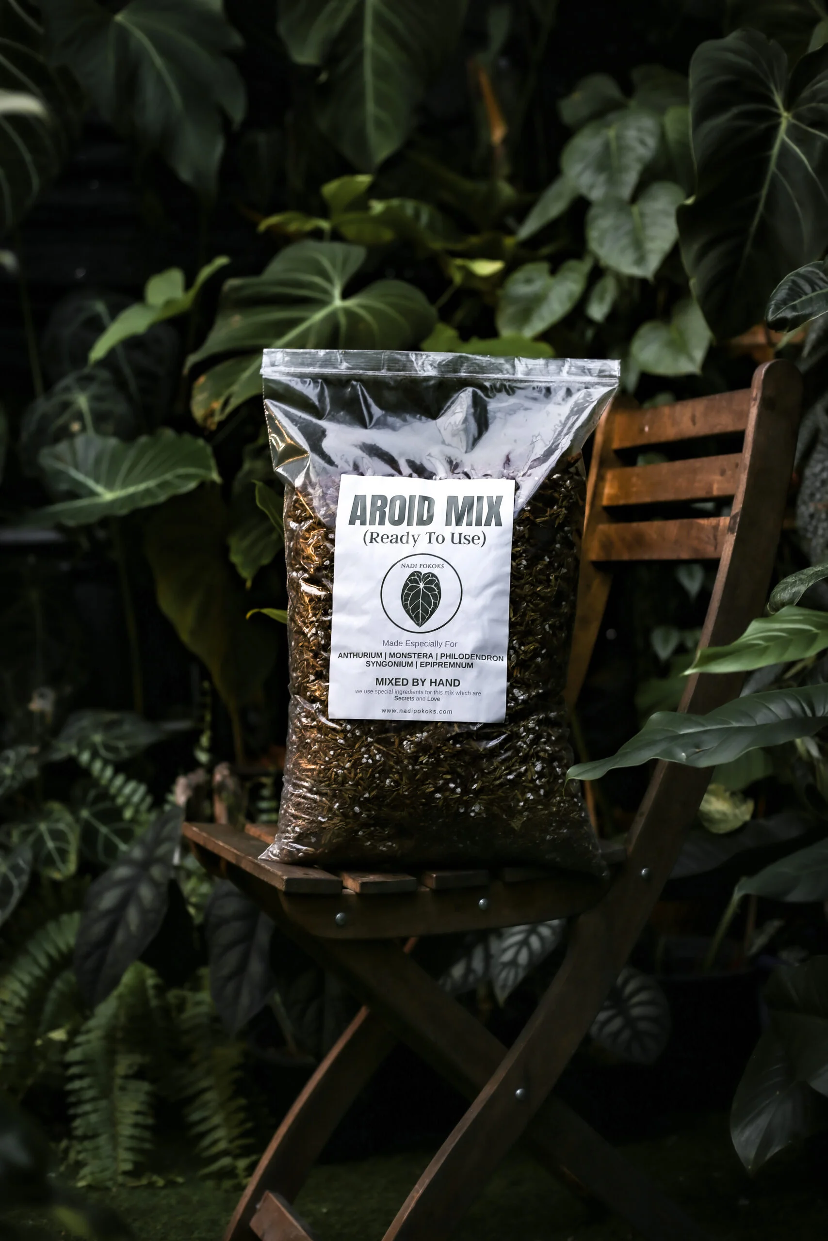 Aroid Mix